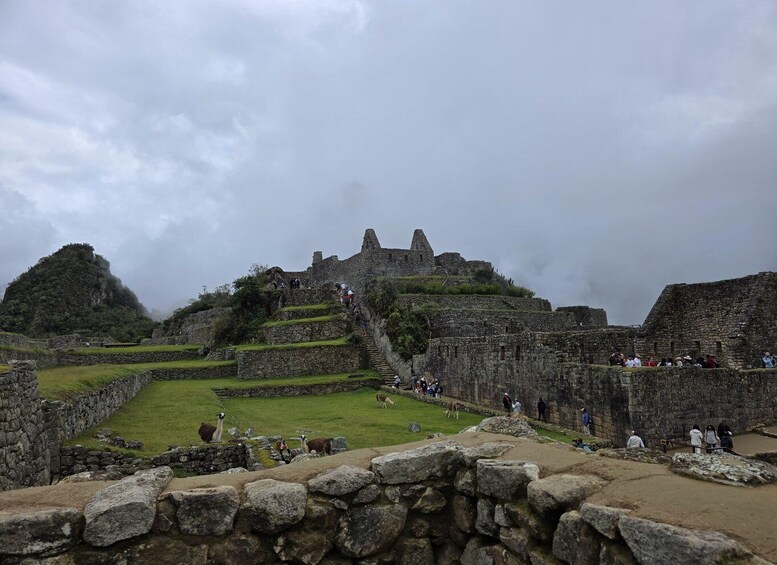 Picture 3 for Activity Machu Picchu: Entrance Ticket and Bus Transfer from Aguas Ca 4