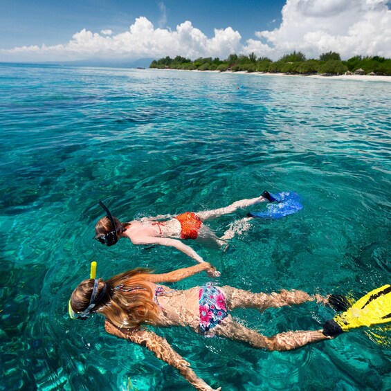 Two people snorkeling in clear blue water with a beach and trees in the background. 5