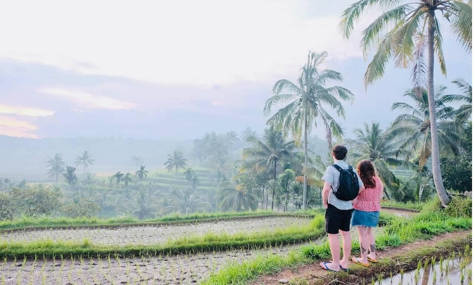 Two people standing by a rice paddy field with palm trees in the background. 1