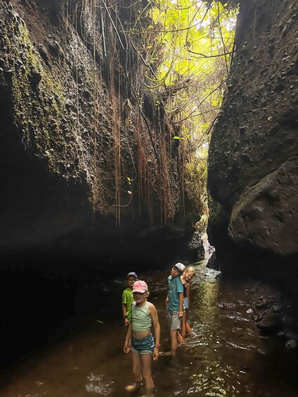 Picture 10 for Activity Lombok: Tetebatu Village Tour with Waterfalls & Lunch 5
