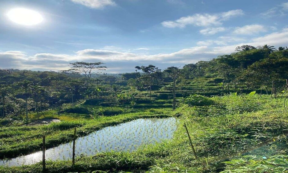 Picture 1 for Activity Lombok: Tetebatu Village Tour with Waterfalls & Lunch 2