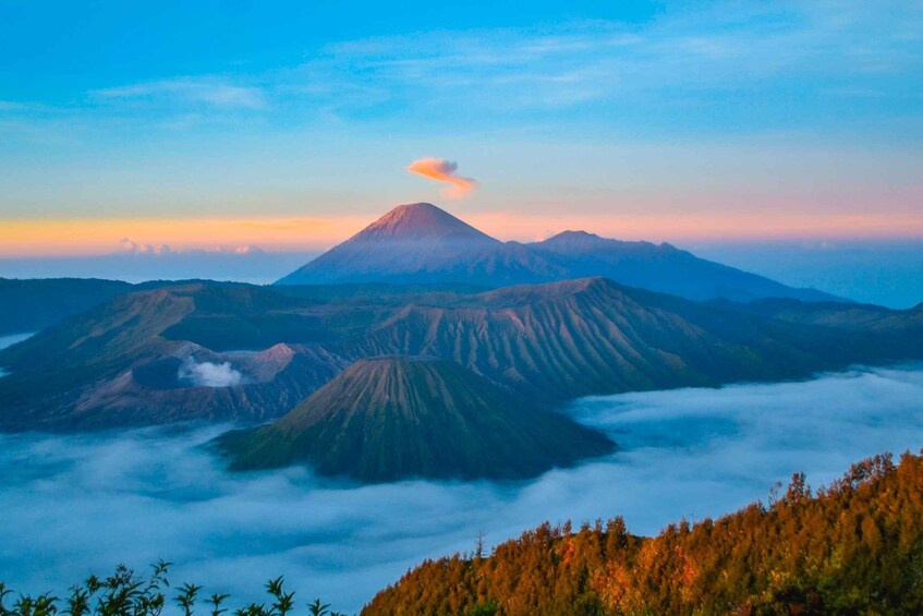 Picture 9 for Activity Probolinggo: Dawn Journey to Mount Ijen Sunrise Expedition 4