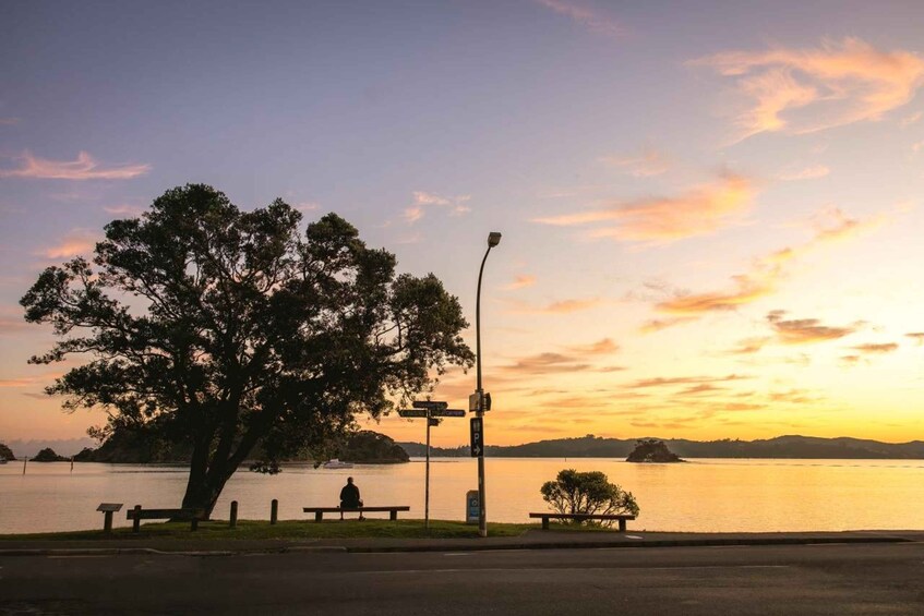 A sunset over a lake with a bench and a tree in the foreground. 1