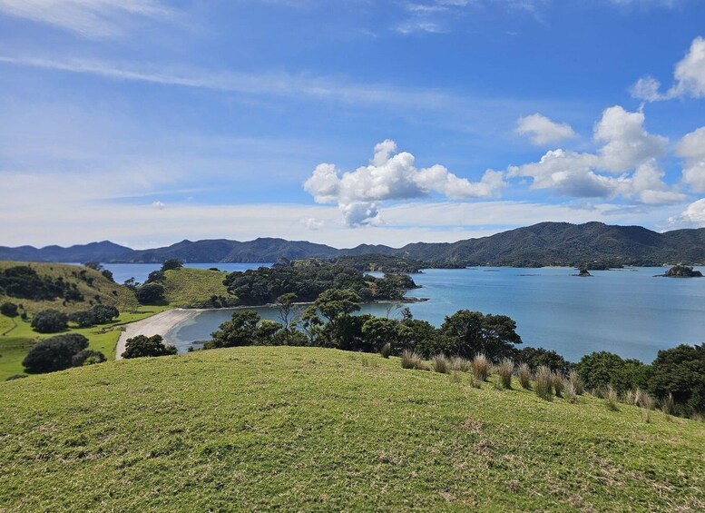 A coastal landscape with a large body of water, green hills, and a clear sky. 3
