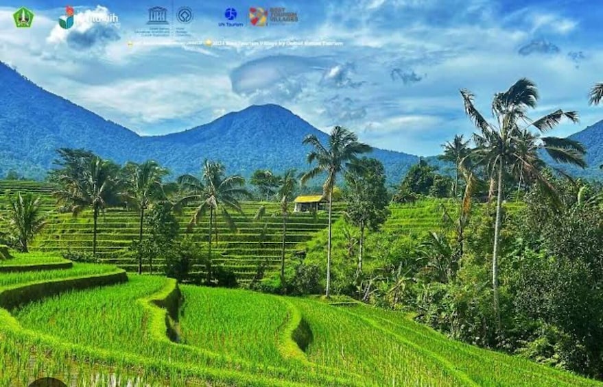 Picture 5 for Activity From Ubud: Tengkudak Village Guided Tour with Bird Spotting 3