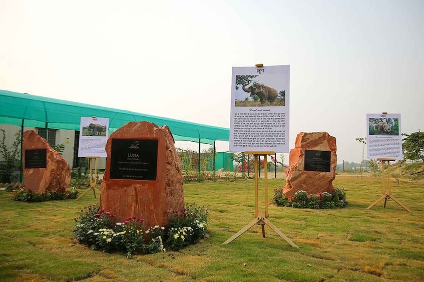 Picture 8 for Activity Agra: Private Taj Mahal Tour with Elephant Rescue Centre 4