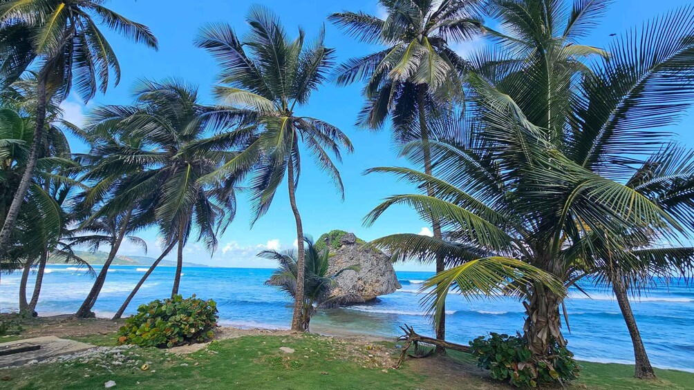 A tropical beach with palm trees and a large rock formation in the ocean. 3