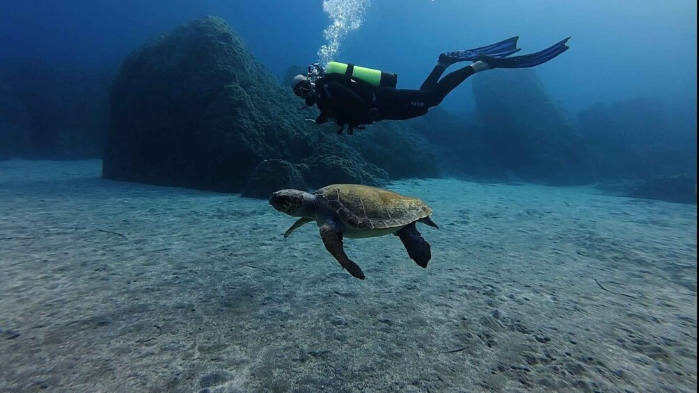 Picture 5 for Activity Kos: Scuba Diving Experience with Hotel Pickup 5