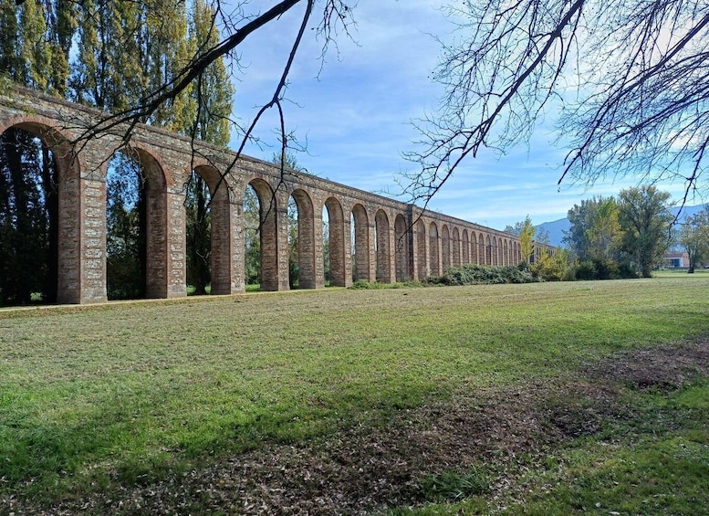 A long brick viaduct with multiple arches, surrounded by grass and trees. 1