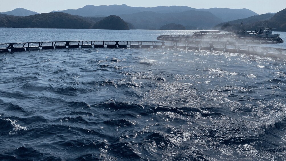 Picture 8 for Activity Nagasaki:Morning Private Goto Islands Cruise with Tuna Lunch 5