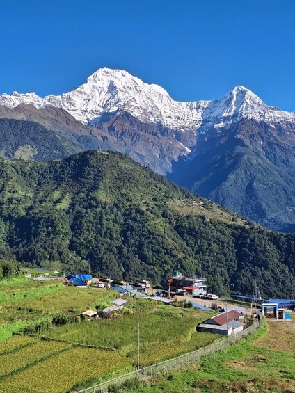 Picture 26 for Activity Pokhara: Annapurna Foothills Day Hike with Transfers 5