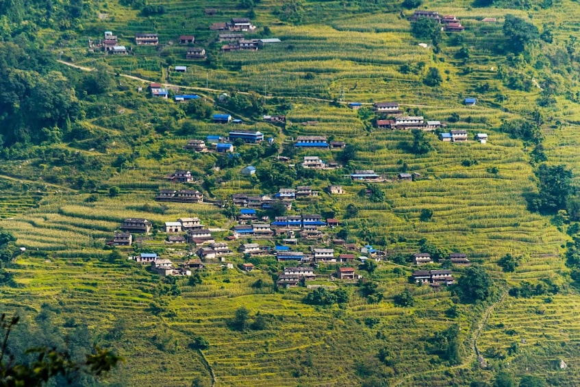 Picture 4 for Activity Pokhara: Annapurna Foothills Day Hike with Transfers 2
