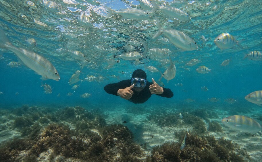 Picture 15 for Activity Mauritius: 5 Islands of the East Speedboat Tour with BBQ 4