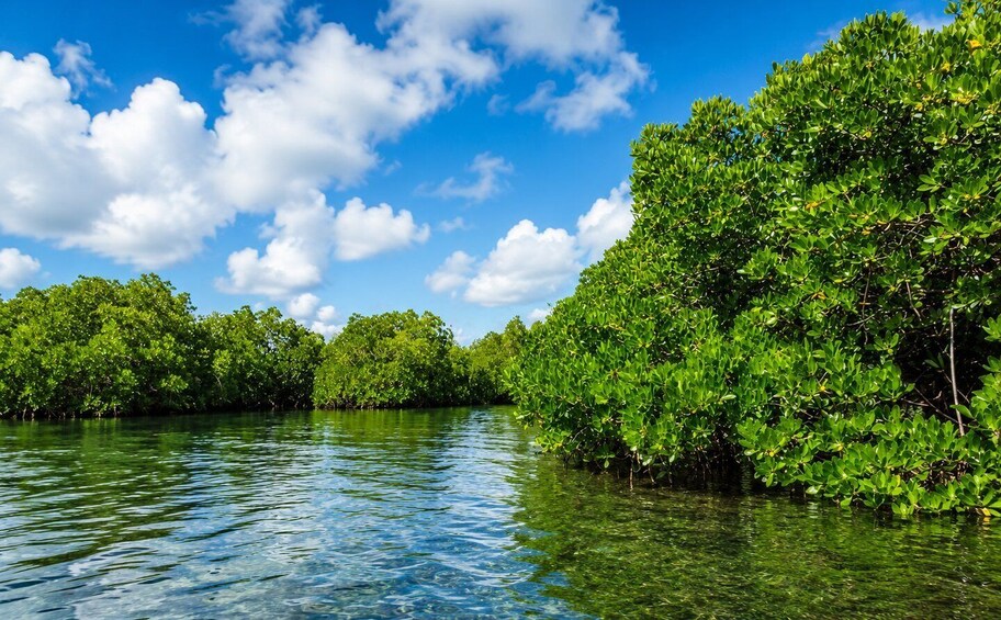 Picture 2 for Activity Mauritius: 5 Islands of the East Speedboat Tour with BBQ 3