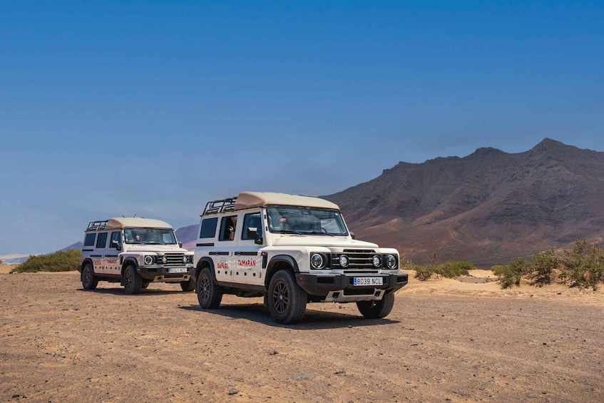 Picture 5 for Activity Fuerteventura: Jandía Natural Park & Cofete 4x4 Safari 2