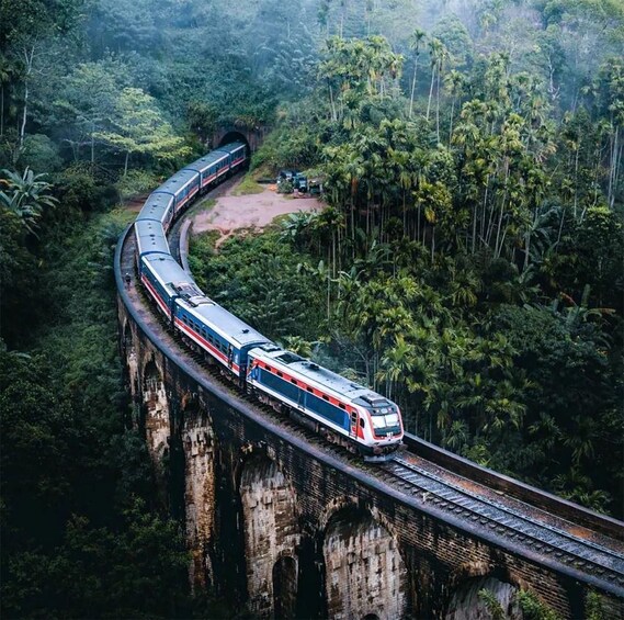 A train traveling on a bridge through a dense forest. 4