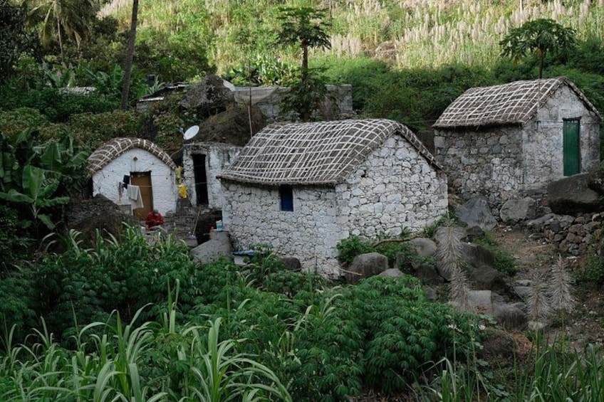 A rural landscape with stone houses, lush greenery, and a satellite dish. 3