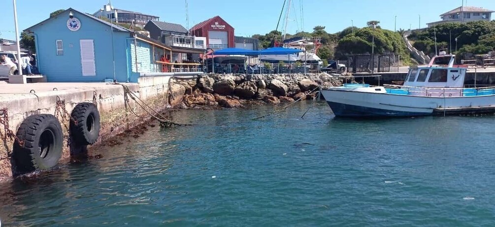 A harbor with a blue building, a red building, and a boat docked near a rocky shore. 4