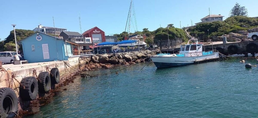 A harbor with a blue building, a white boat, and a red building in the background. 5