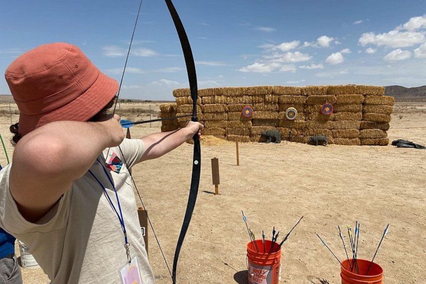 A person aiming a bow at a target in an outdoor setting. 2