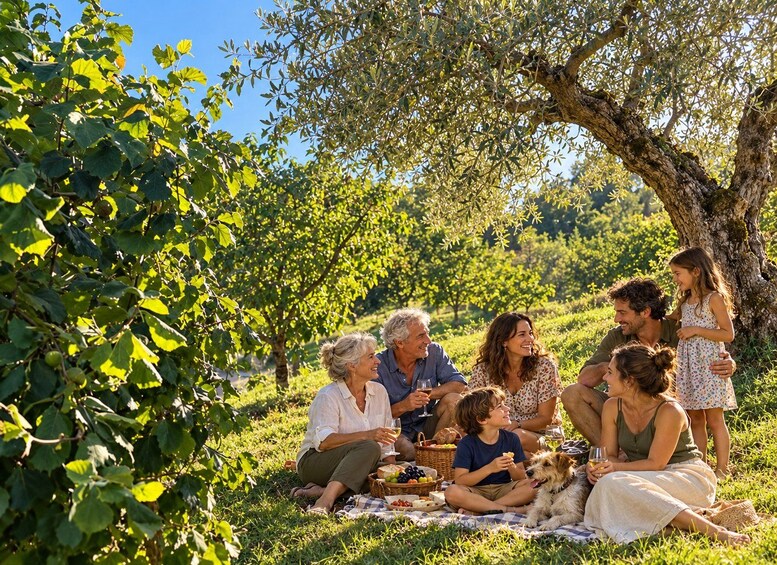 Picture 6 for Activity Montalcino: saffron and organic wine tasting 3