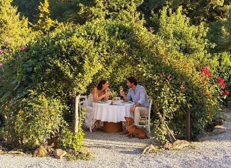 Picture 5 for Activity Montalcino: saffron and organic wine tasting 2