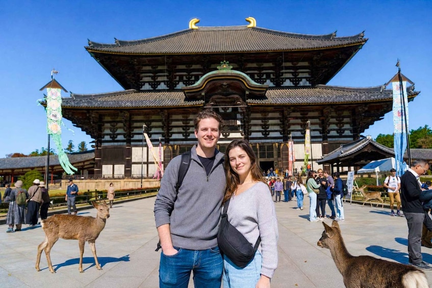 A traditional building with a curved roof and two deer in the foreground. 2