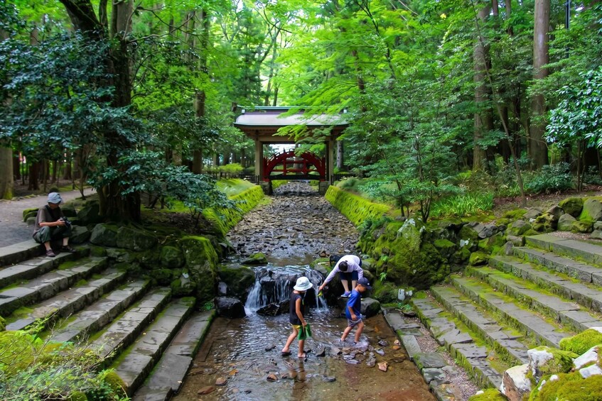 A forested area with a small waterfall, stone steps, and a traditional Japanese structure. 4