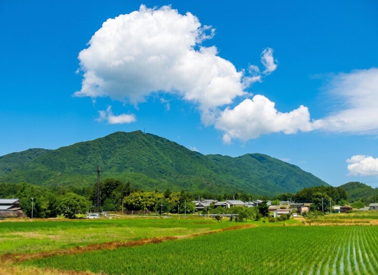 A green mountain, a clear blue sky, and a village with houses. 5