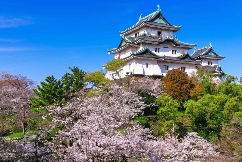 A traditional Japanese castle with multiple tiers and green roofs, surrounded by cherry blossom trees. 2