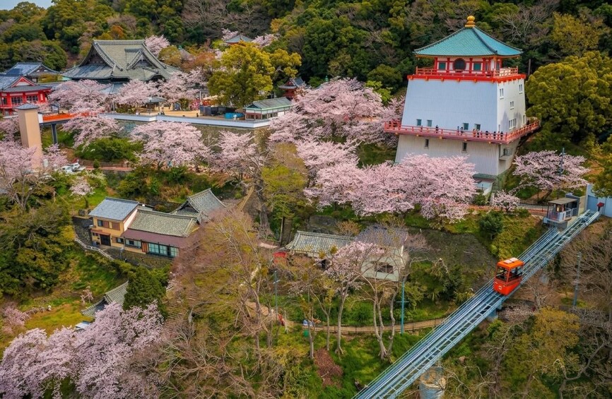 A traditional Japanese temple surrounded by cherry blossoms, a red cable car, and a small boat on a lake. 4