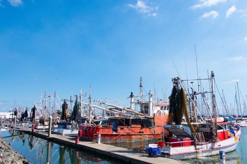 Harbour Scarborough 1