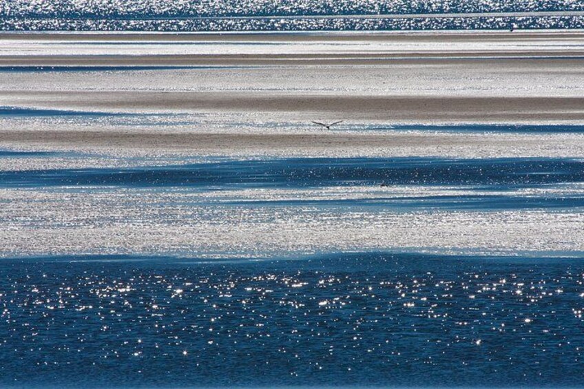 The ocean 3