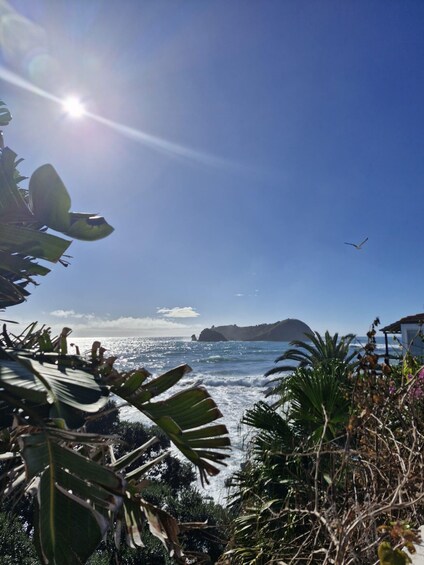 A tropical beach with palm trees, ocean waves, and a distant island. 5