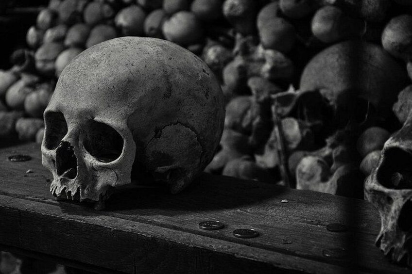 A skull on a wooden surface with other skulls in the background. 5