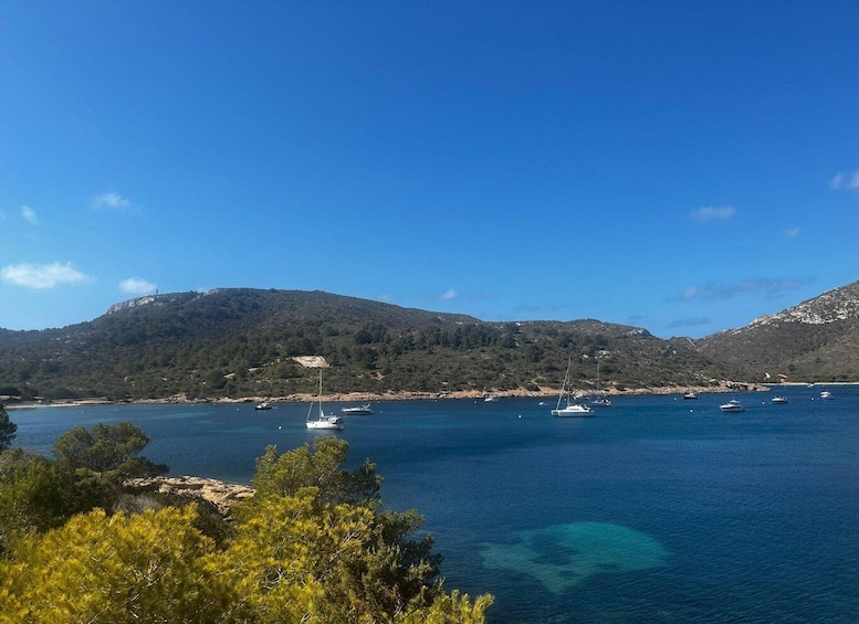 A coastal landscape with clear blue waters, sailboats, and a hilly backdrop. 5
