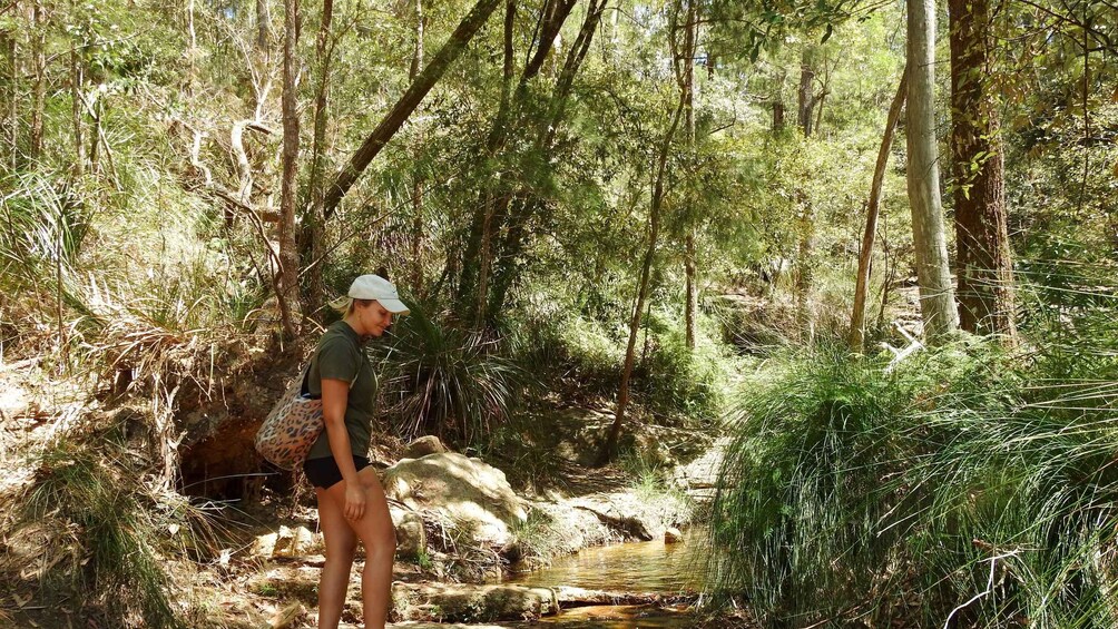 Una persona de pie junto a un arroyo en una zona boscosa. 2