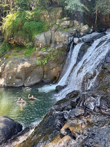 Picture 10 for Activity Byron Bay: Rainforest Waterfalls & Wildlife Eco Tour 3