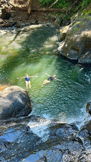 Picture 4 for Activity Byron Bay: Rainforest Waterfalls & Wildlife Eco Tour 2