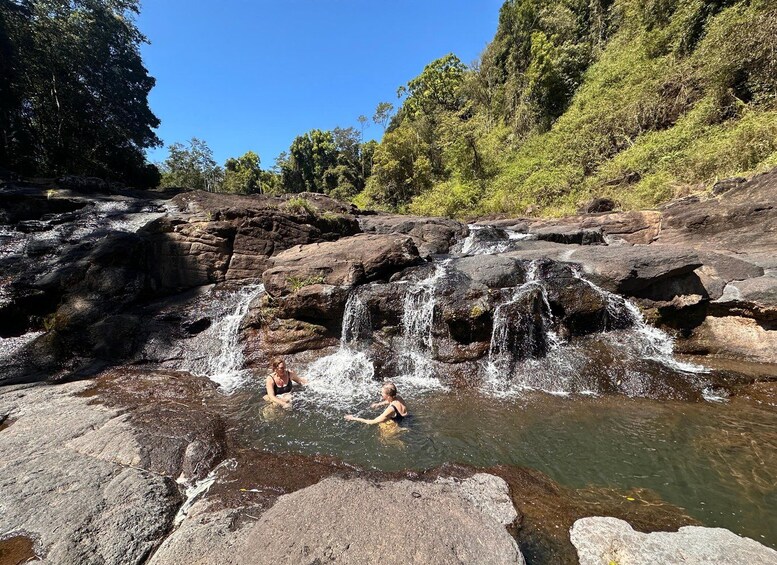 Picture 2 for Activity Byron Bay: Rainforest Waterfalls & Wildlife Eco Tour 4