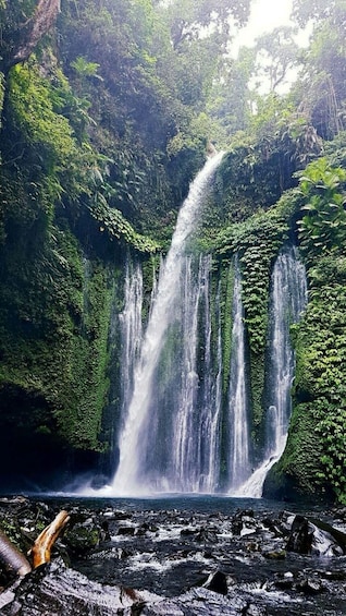 A waterfall cascading down a lush, green cliff surrounded by dense foliage. 1