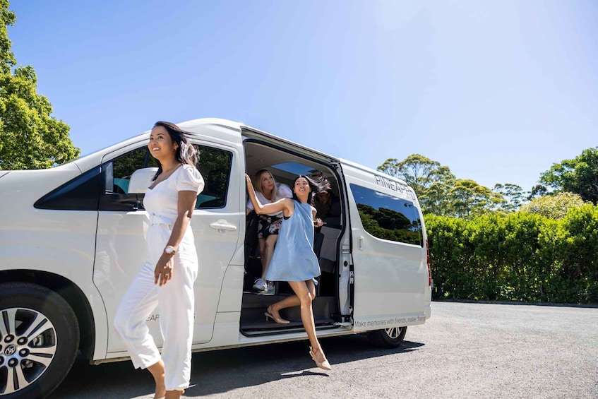 Brisbane: Wine Tasting - Hop on Hop off Tour to Mt Tamborine 1
