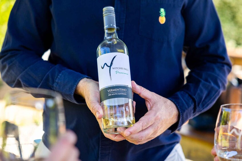 Picture 6 for Activity Brisbane: Wine Tasting - Hop on Hop off Tour to Mt Tamborine 4