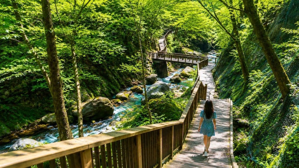 A woman walking on a wooden bridge over a river in a forest. 1