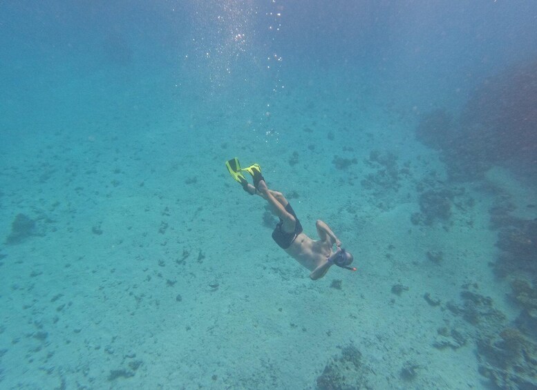 A person snorkeling underwater. 3