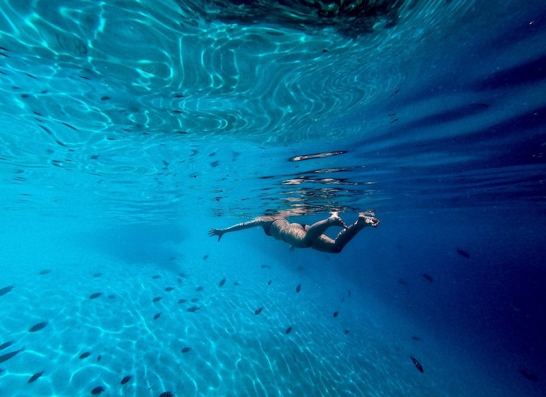 Picture 8 for Activity HALFDAY Snorkelling 2 point, dolphin and sandbank 3