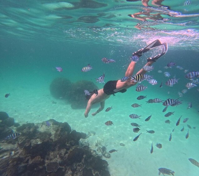 A person snorkeling underwater surrounded by fish. 5