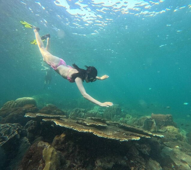 A person snorkeling underwater near coral reefs. 3