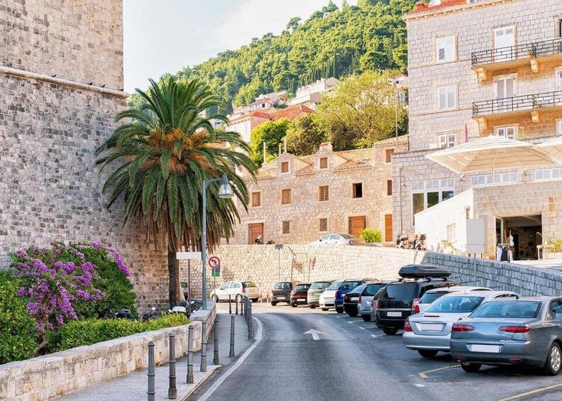 Picture 7 for Activity Palma: Express Walk with a Local in 60 minutes 2