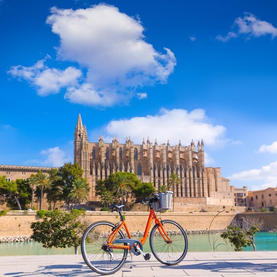 Picture 2 for Activity Palma: Express Walk with a Local in 60 minutes 3